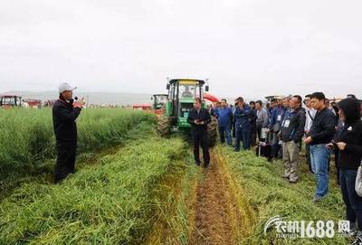 全國牧草（燕麥飼草）生產全程機械化推進活動在青海圓滿舉行，助力畜牧設備技術升級